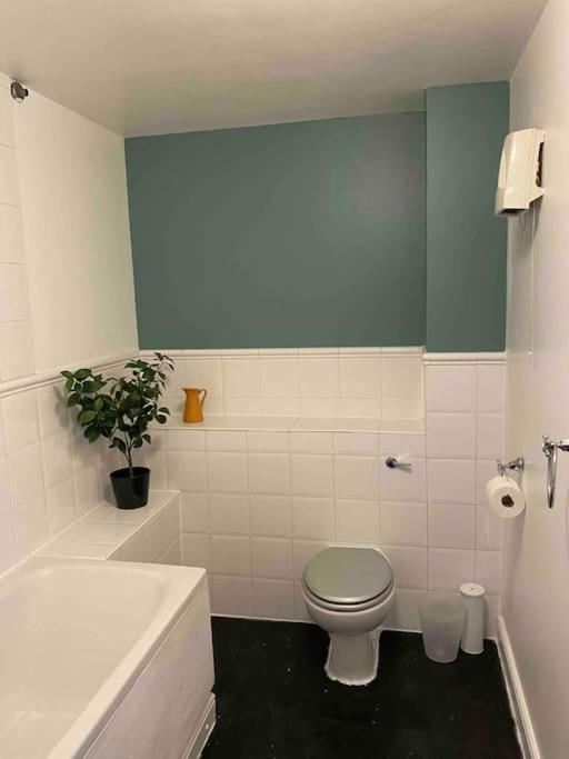 Apartament Canal-Flat Near Stratford International Station Londyn Zewnętrze zdjęcie